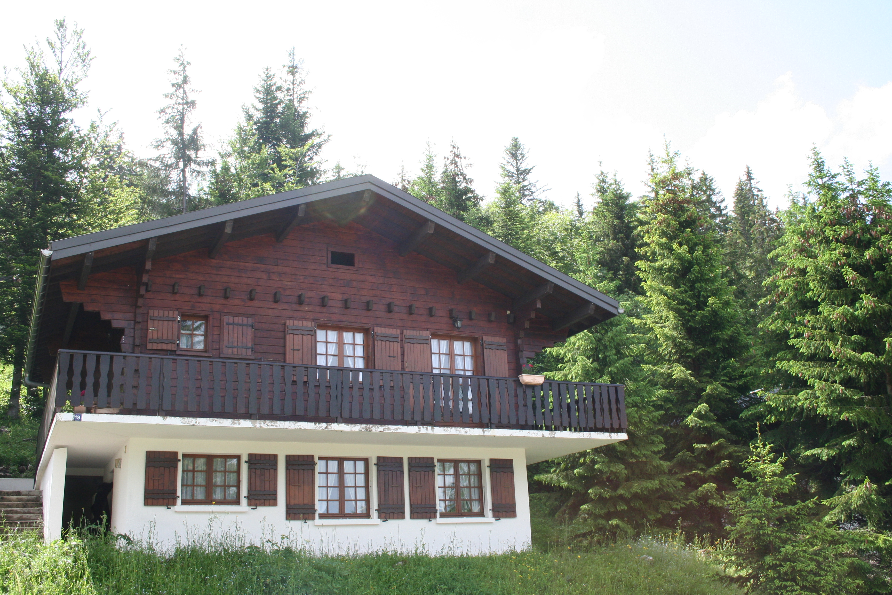 Appartement dans chalet - P401COU00