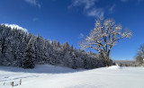 Extérieur hiver depuis chambre du bas