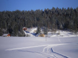 G1553