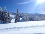 Chalet le Dahut (4 personnes + lit supplémentaire)