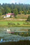 P1020231