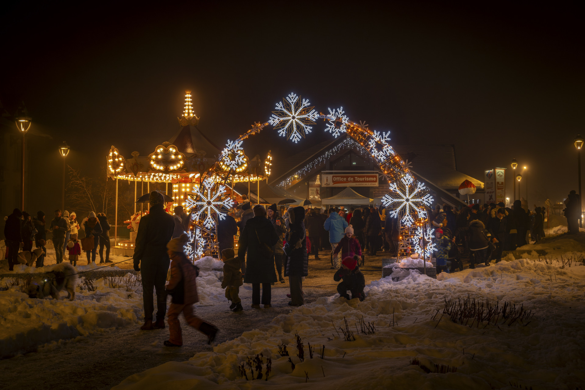 sogi-2303723-sb-561125