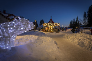 sogi-211232-sb-561124