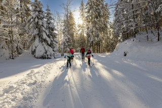 sogi-2200252-sb-435176