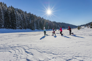 hiver - neige - raquettes - montagne - biathlon - station des rousses - jura