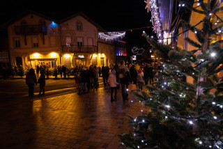 sogi-2204564-sb-449457