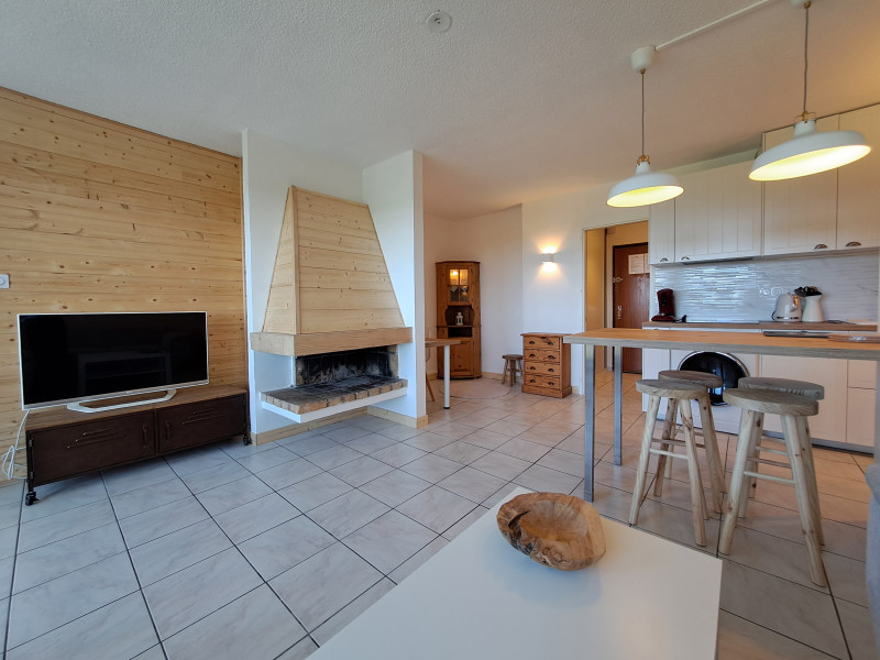 Location-Vacances-Appartement-Les Rousses-Station des Rousses-Jura 