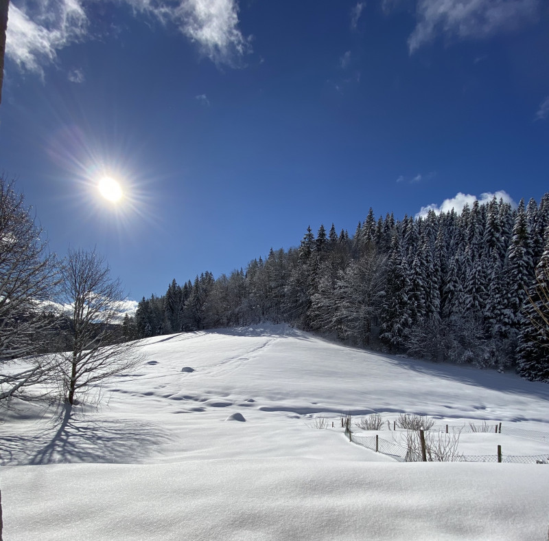 Extérieur hiver depuis séjour vue 2