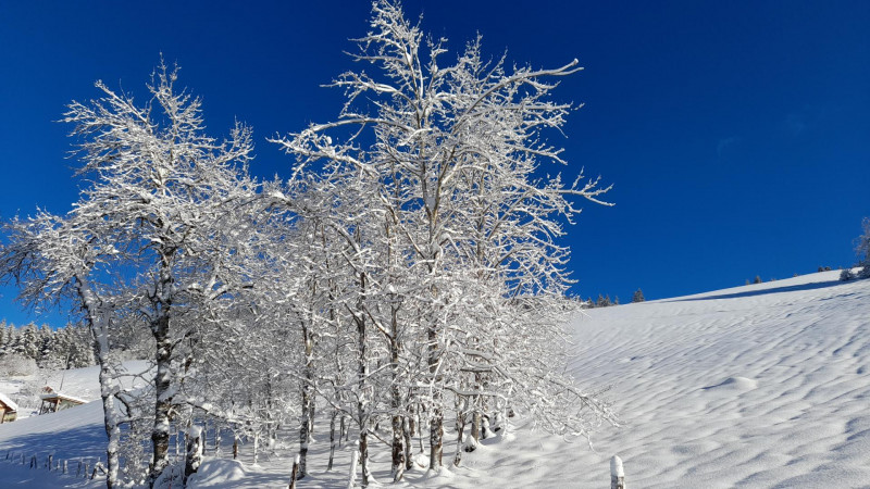 Le Sagyterre - © Gîtes de France / G1118 Le Sagyterre