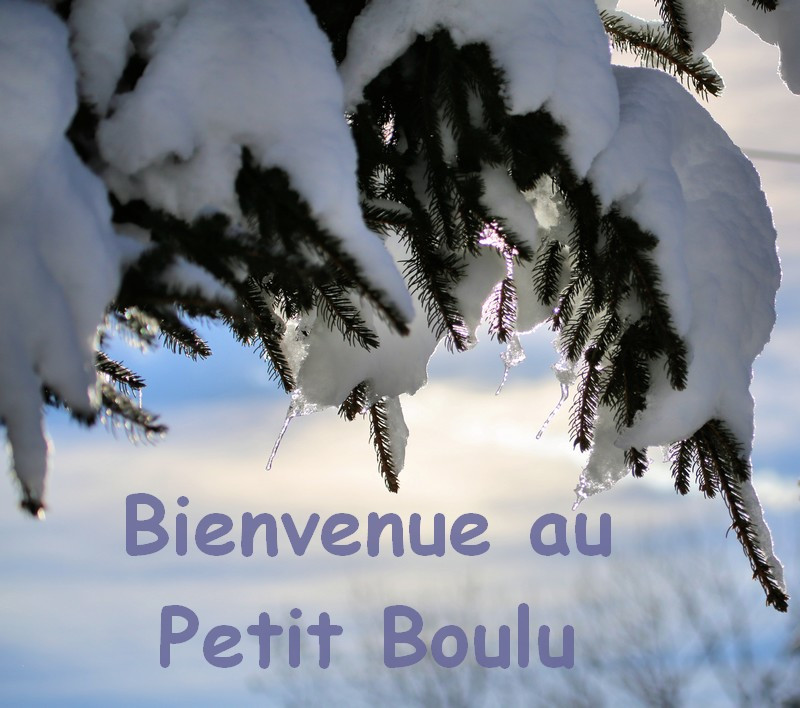 Le Petit Boulu - © Gîtes de France / G1662 Le Petit Boulu
