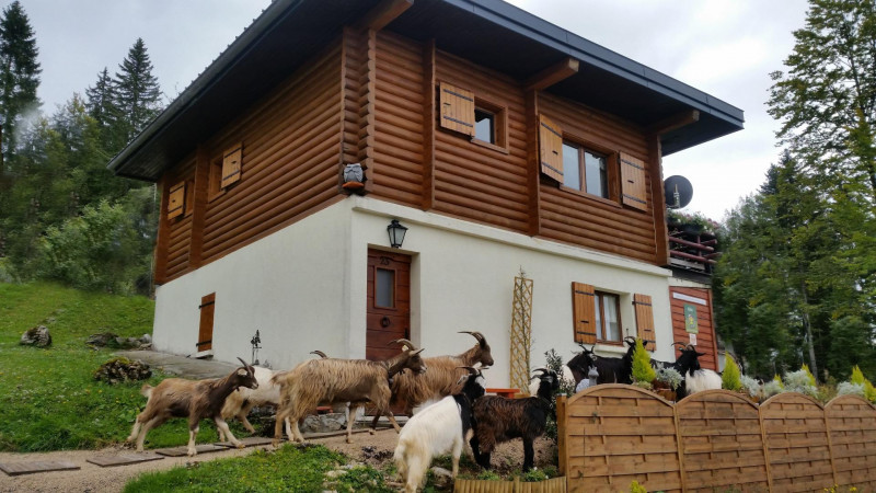 Le Petit Boulu - © Gîtes de France / G1662 Le Petit Boulu