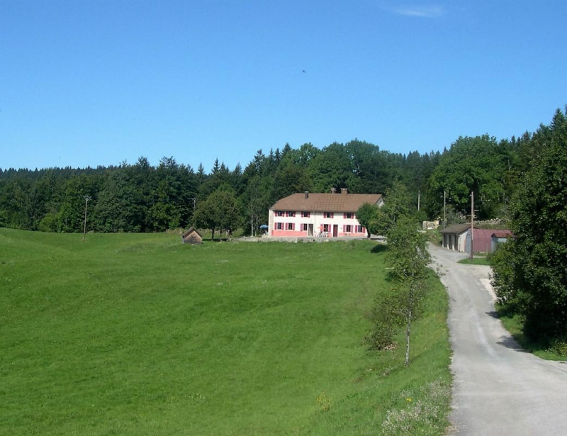 Améthyste