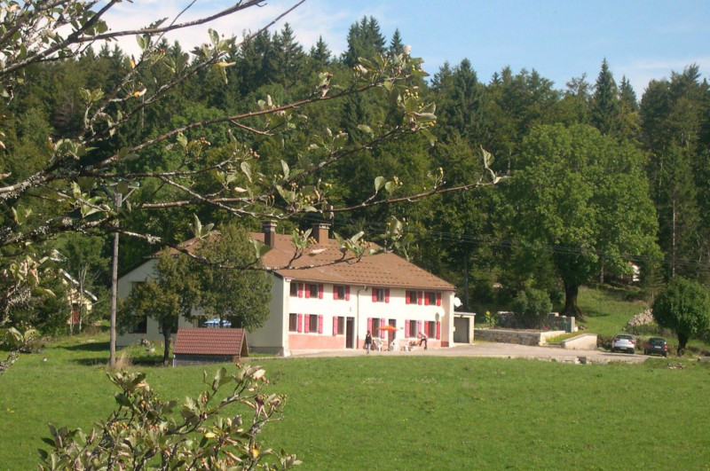 Améthyste