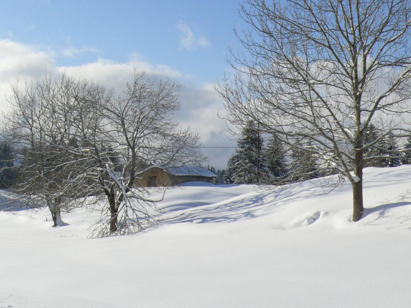 Les Jonquilles - © Gîtes de France / G1967 Les Jonquilles