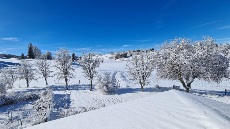 Appartement Le Chevreuil - MV Vacances
