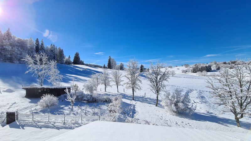 Appartement Le Chevreuil - MV Vacances