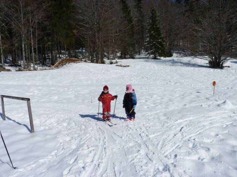 Le Logis des Neiges