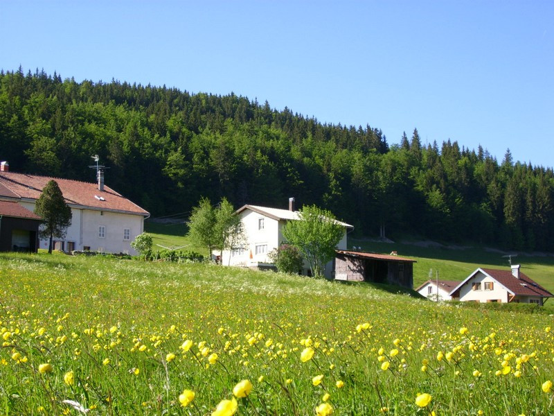 L'atelier de parrain