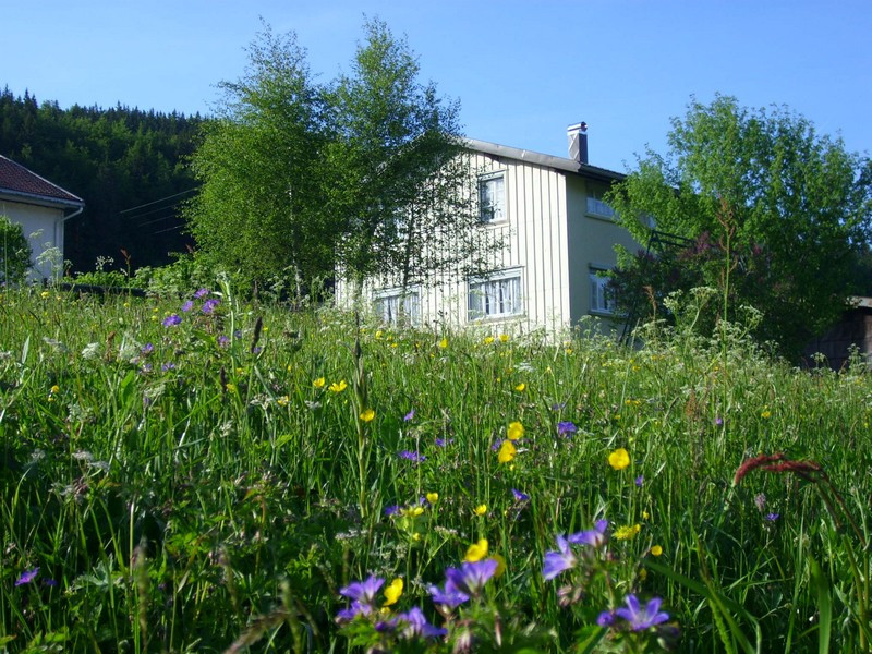 L'atelier de parrain - © Gîtes de France / G357 L'atelier de parrain