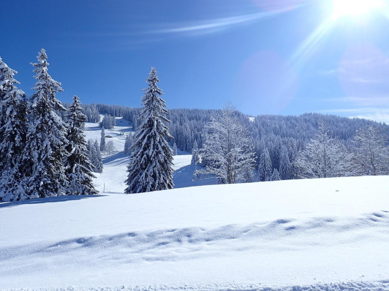 Chalet le Dahut (4 personnes + lit supplémentaire) - © Gîtes de France / G975 Chalet le Dahut (4 personnes + lit supplémentaire)