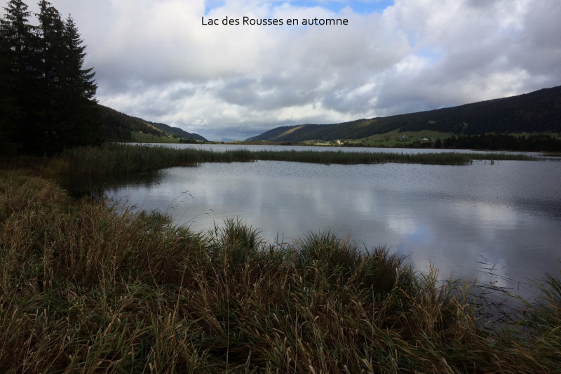L-lacRousses