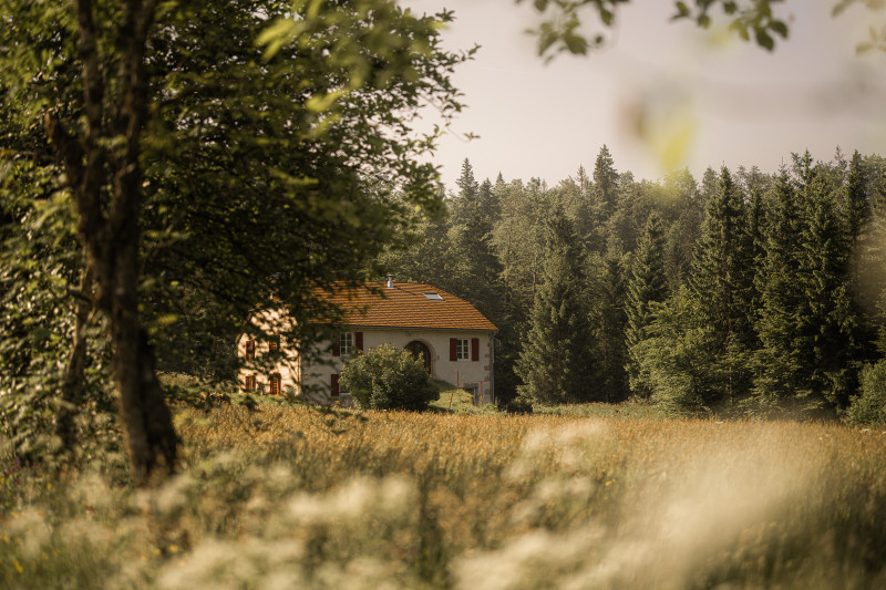 MDJ-HEBERGEMENT-PREMANON-JUIN-25-MK-GODIN-3