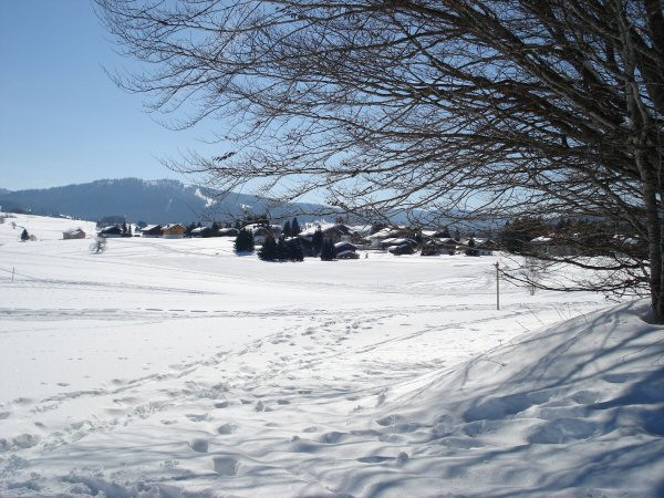 13-stade de l'Orbe à côté de la résidence